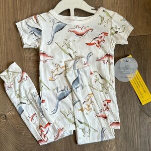 Dinosaur Bamboo PJ Set